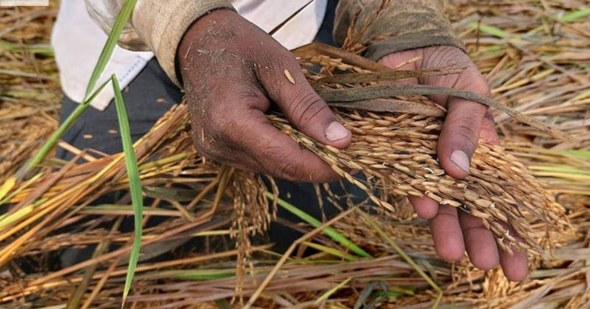 UP Cabinet announces Rs 192 crore aid for saving farmers' crops from damage
